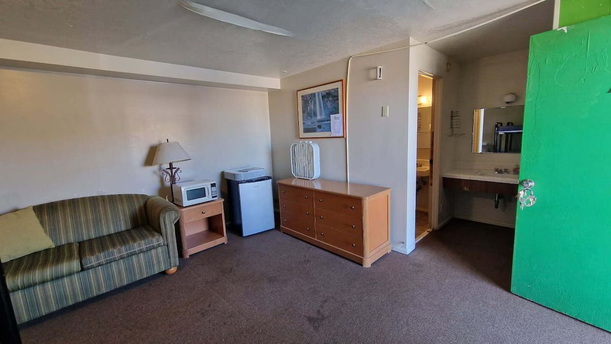 A hotel room with a couch , microwave , refrigerator and sink.