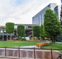 expert commercial landscaping service in massapequa, ny