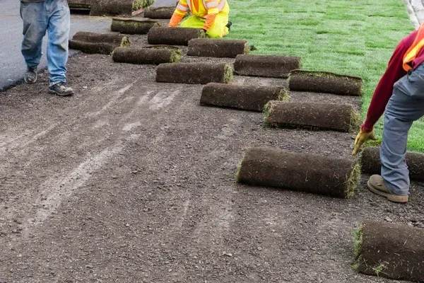 sod installation experts in massapequa ny