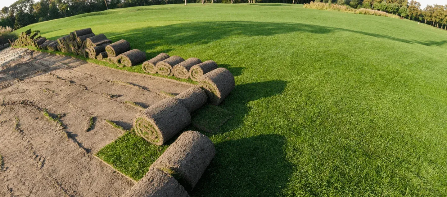 sod installation service in massapequa ny