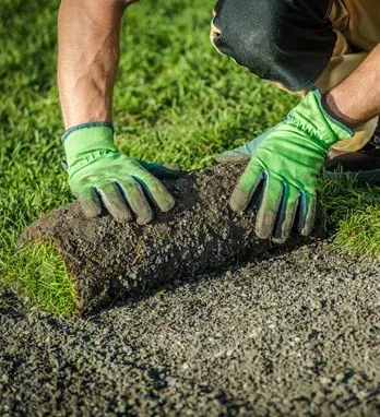 sod installation services company in massapequa ny