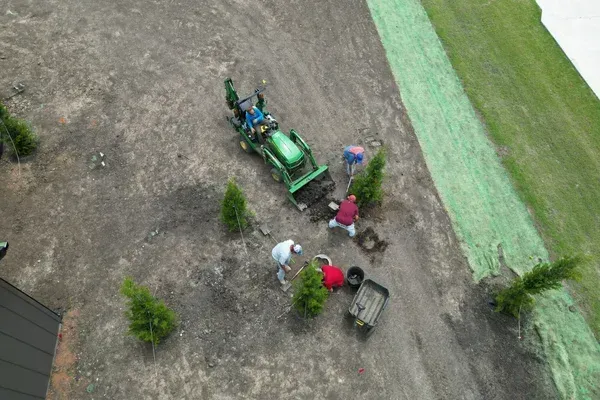 tree installers in massapequa ny