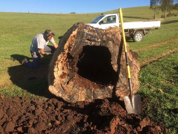 Stump grinding