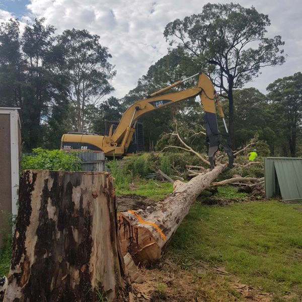 Land clearing