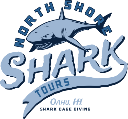 North Shore Shark Tours