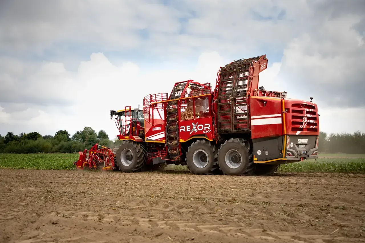 Arrachage betteraves Picardie