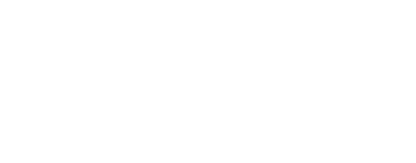 Mostly blank white rectangle with a thin black horizontal line near the bottom