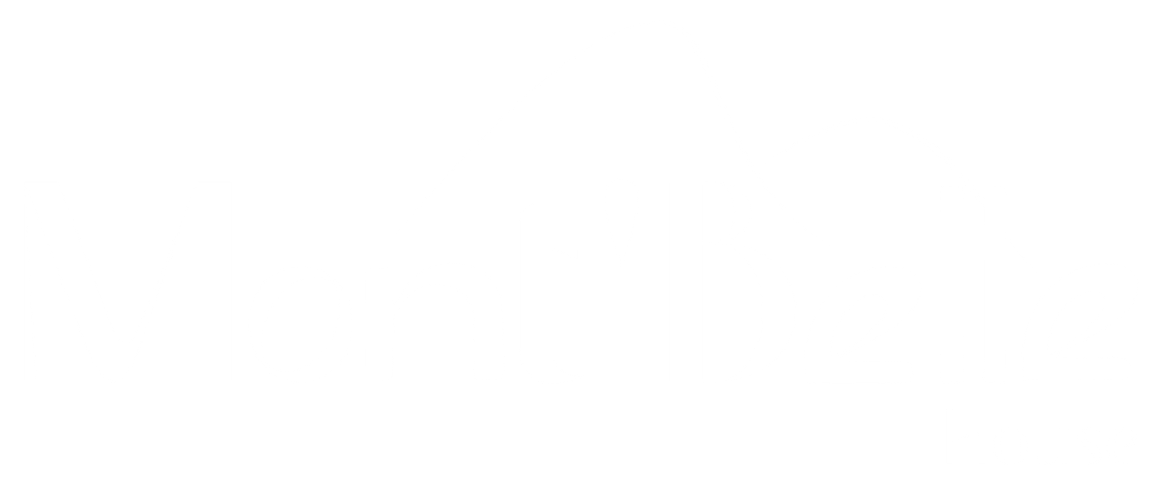 Uma linha fina, vertical e branca sobre um fundo branco.