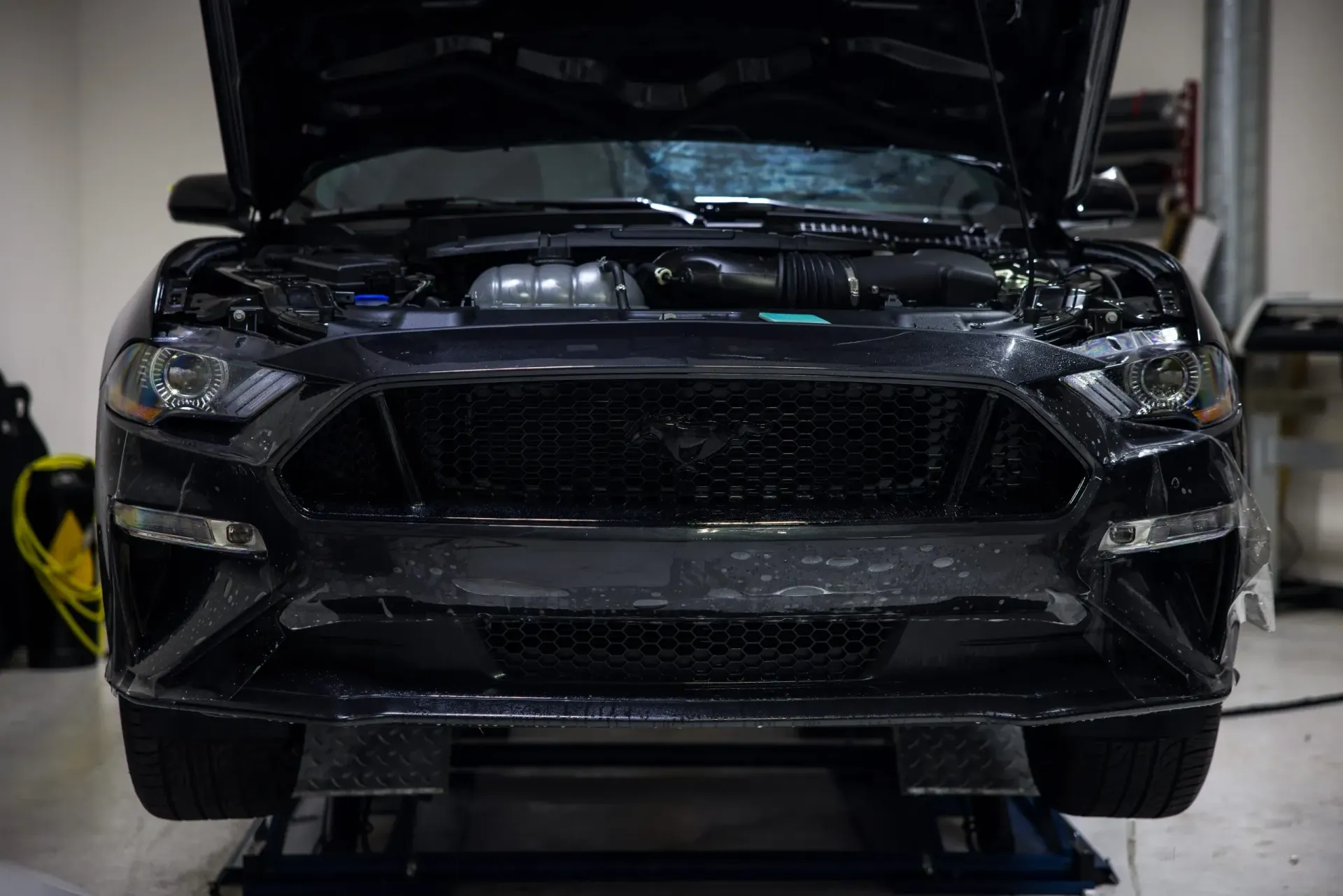 Black Ford Mustang with hood open, on a lift, in a shop.