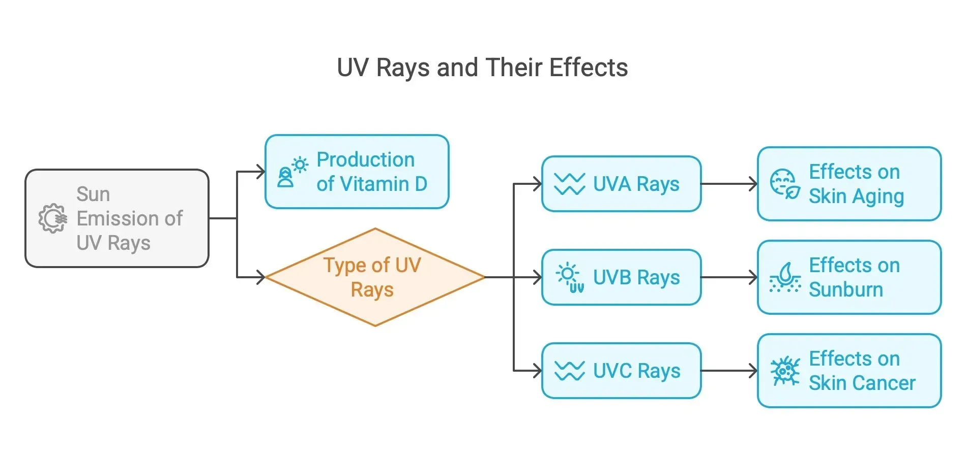 Diagram showing UV rays and their effects: vitamin D production, skin aging, sunburn, and skin cancer.