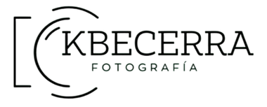 Un logotipo en blanco y negro para una empresa llamada productora.