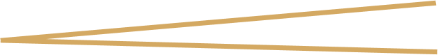 Two beige lines forming an angle against a white background.