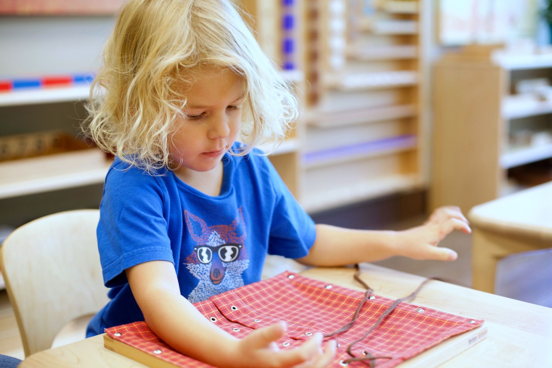 Montessori child working with the dressing frame