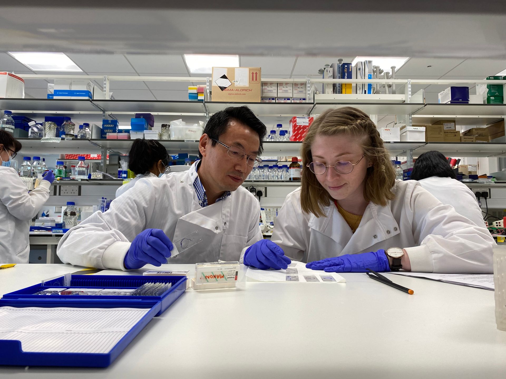 A man and a woman are working in a lab.