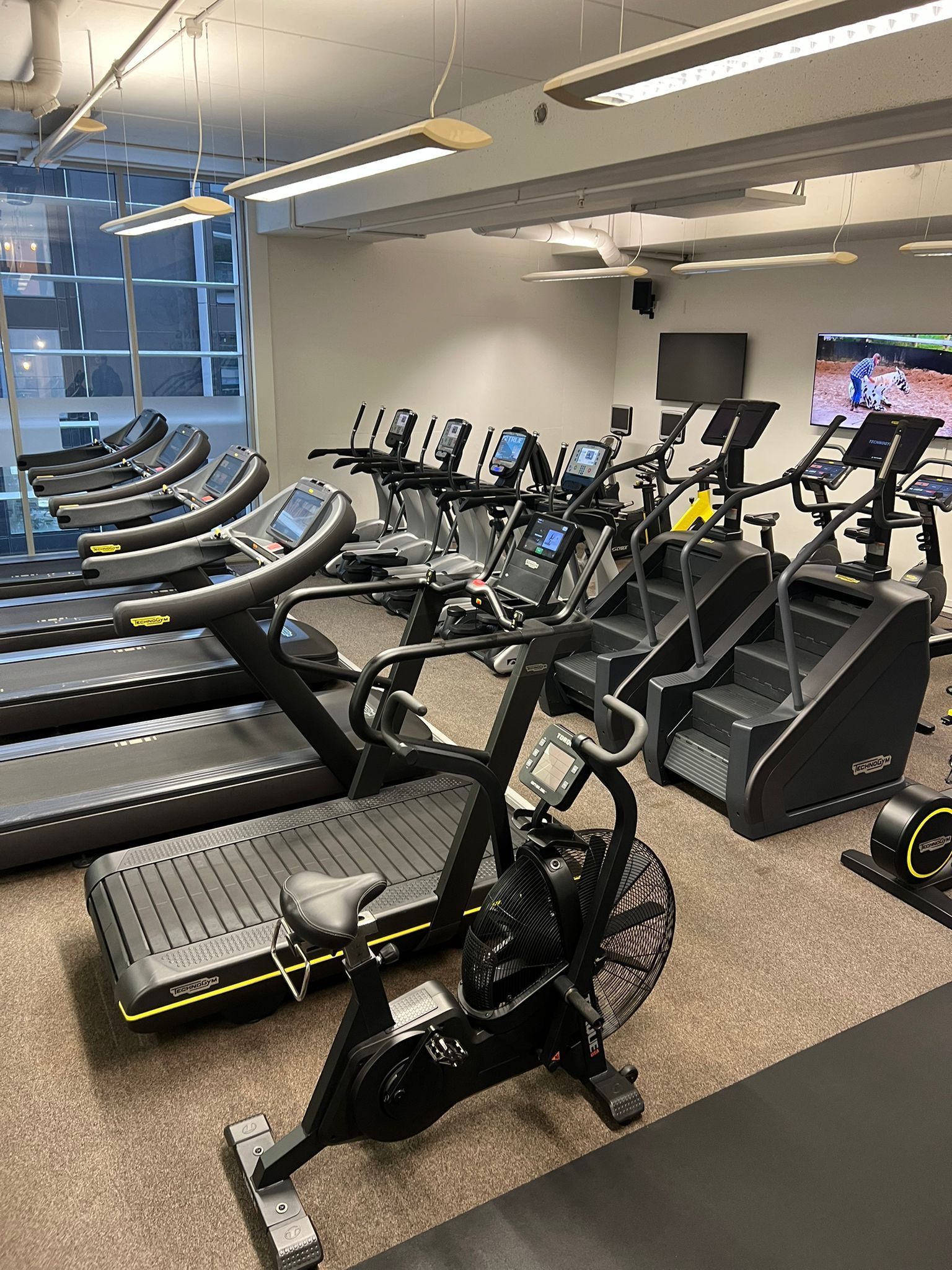 Gym with rows of treadmills, ellipticals, stair steppers, and an air bike.