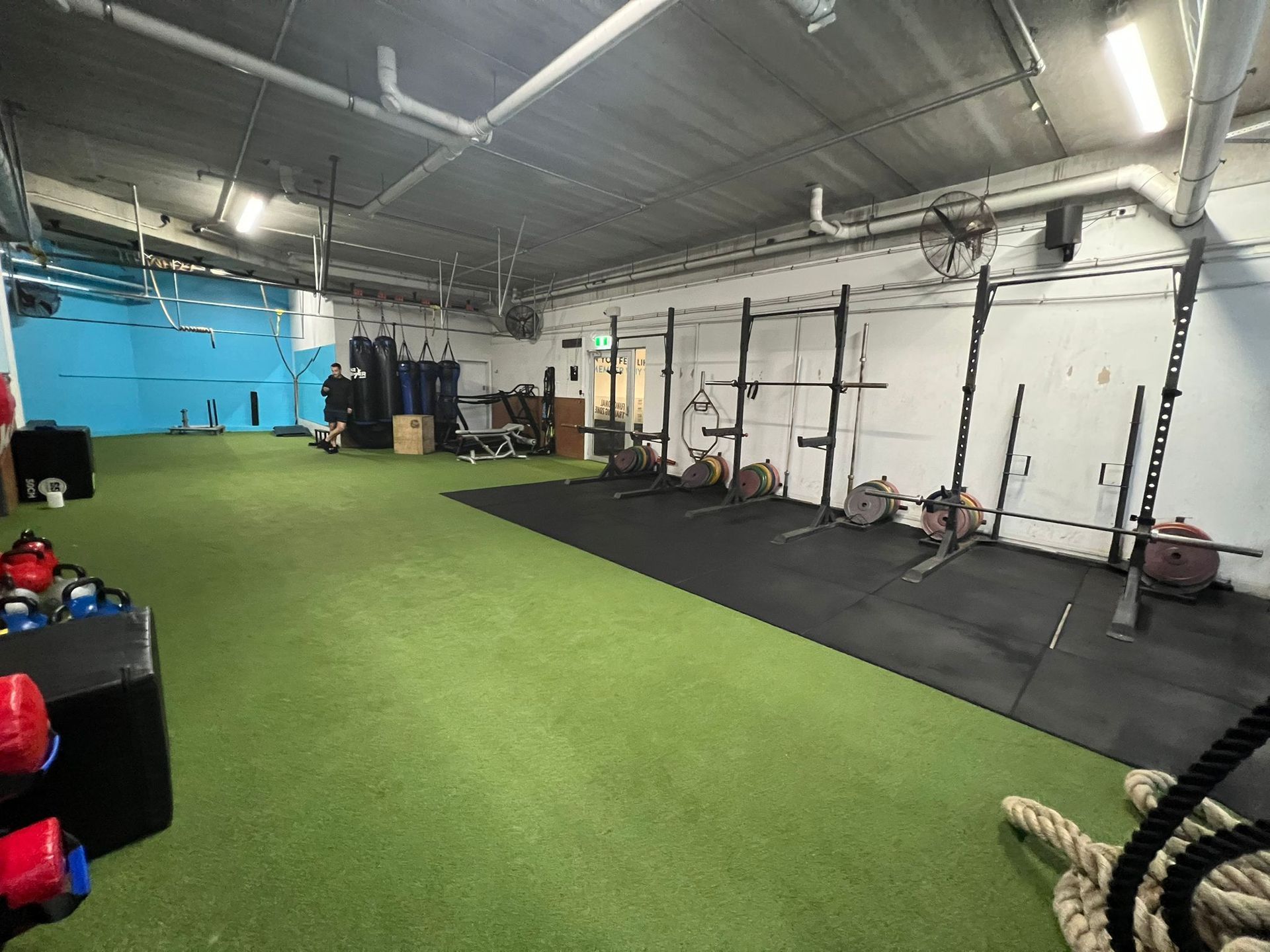 Gym interior with green turf floor, weights, squat racks, and blue wall.