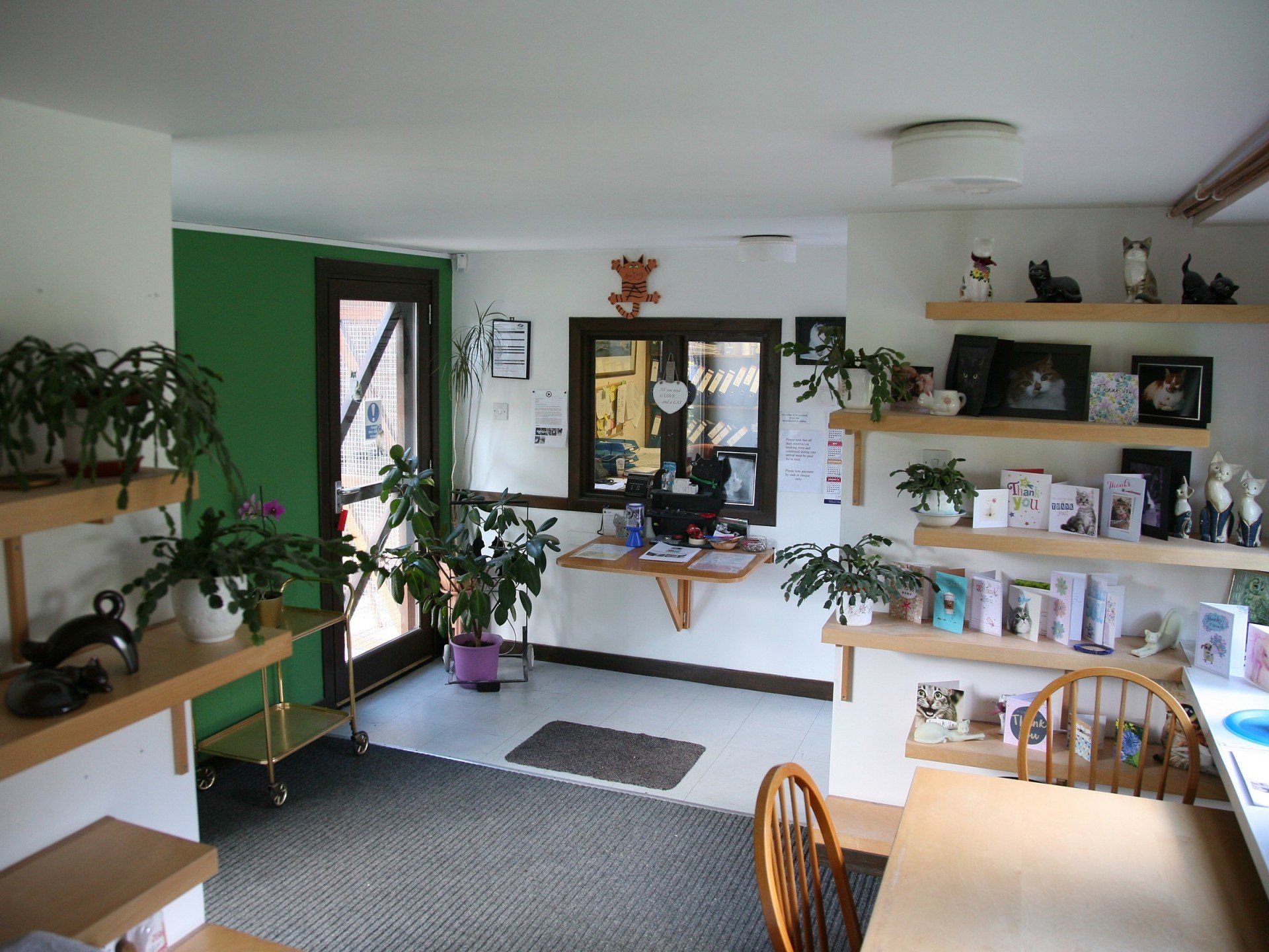 interiors pf Lochermill Boarding Cattery Ltd
