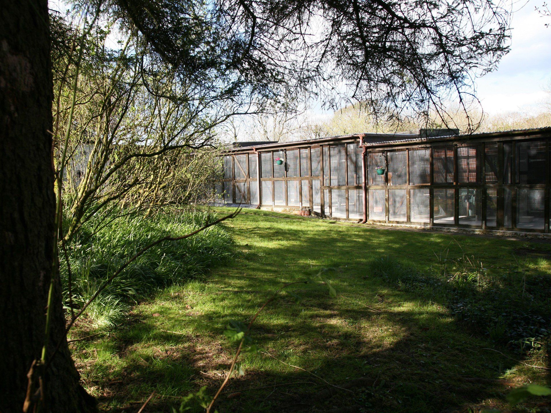 the spacious garden area of a pet home