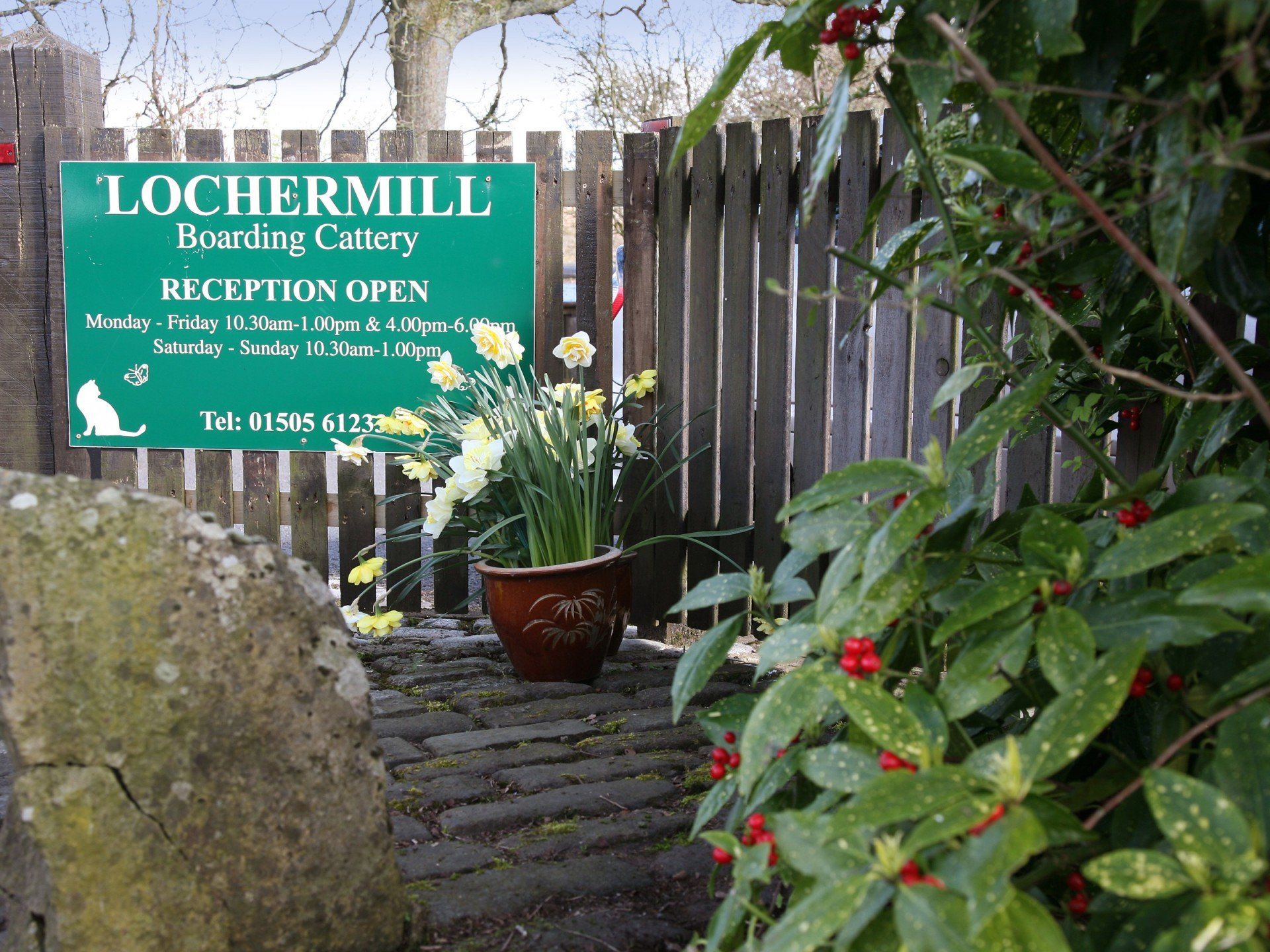 the entrance of Lochermill Boarding Cattery Ltd