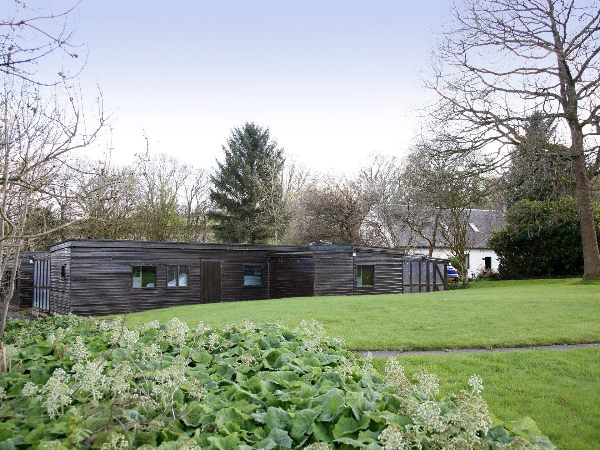 a wide and open garden area