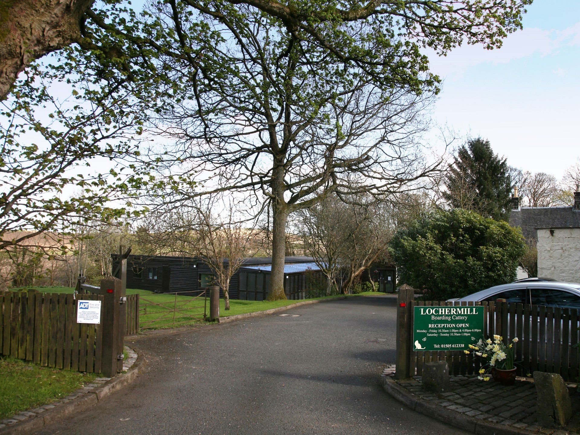 the driveway to the cattery