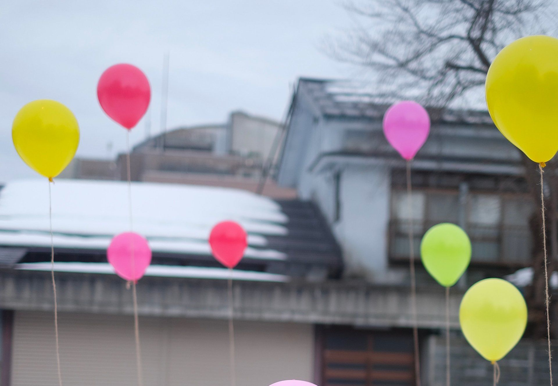 God is the Ultimate PartyThrower