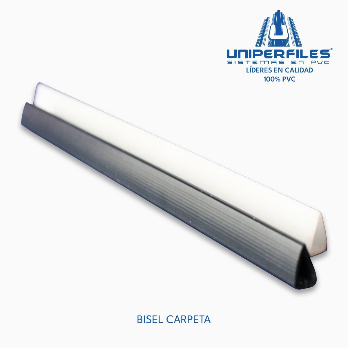 BISEL CARPETA