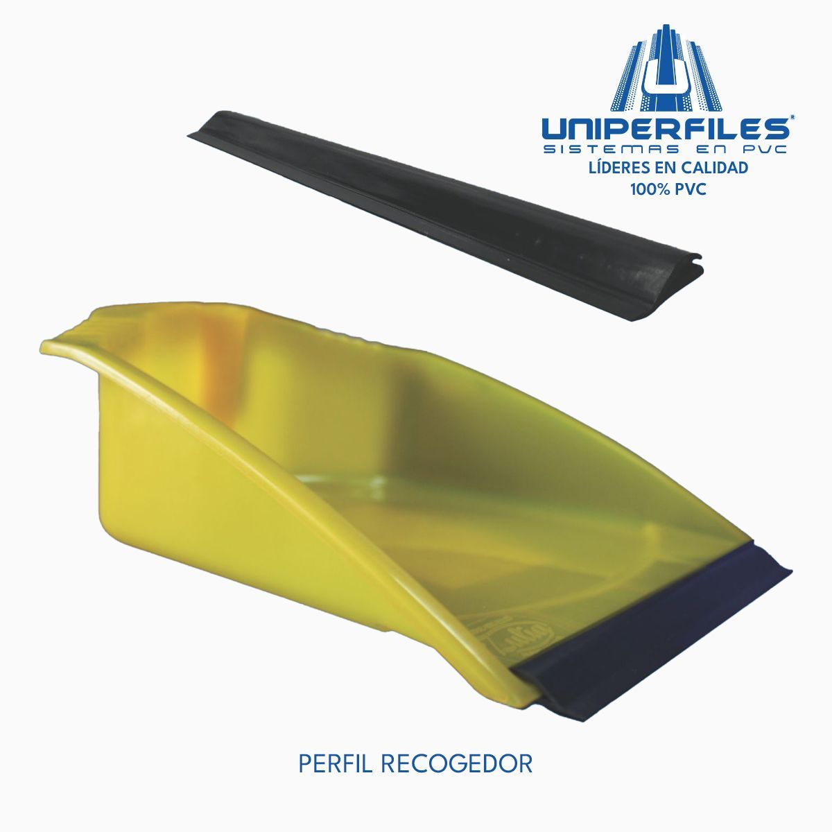 PERFIL RECOGEDOR
