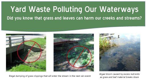 Yard Waste Polluting our Waterways