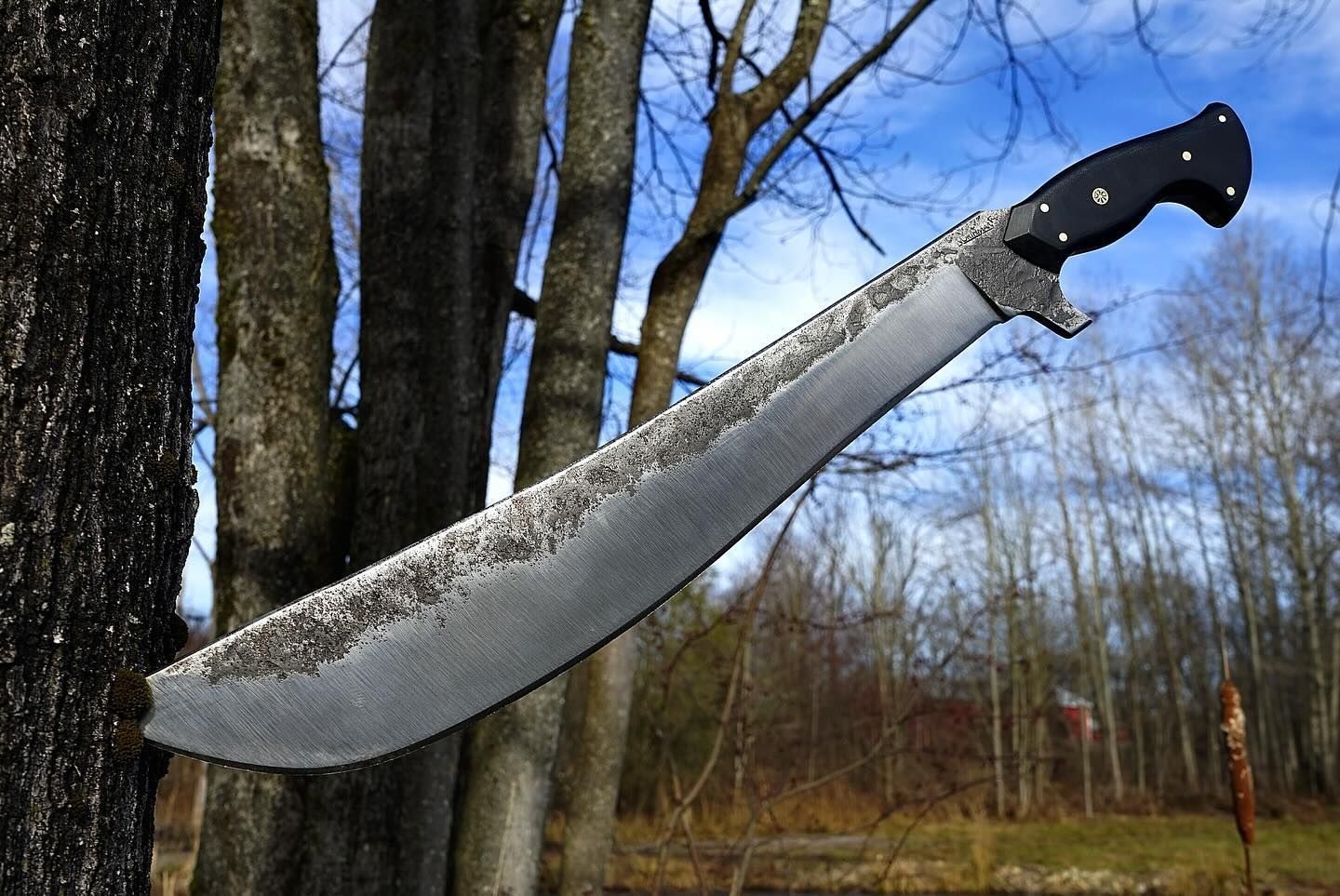 Large, curved machete blade embedded in a tree trunk, set in a wooded outdoor environment with a blue sky.