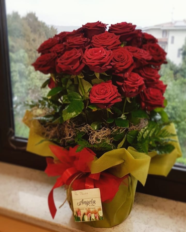 Creazioni di San Valentino