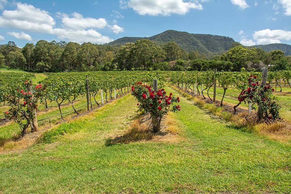 Cessnock Farm — DPF Centre In Cessnock, NSW