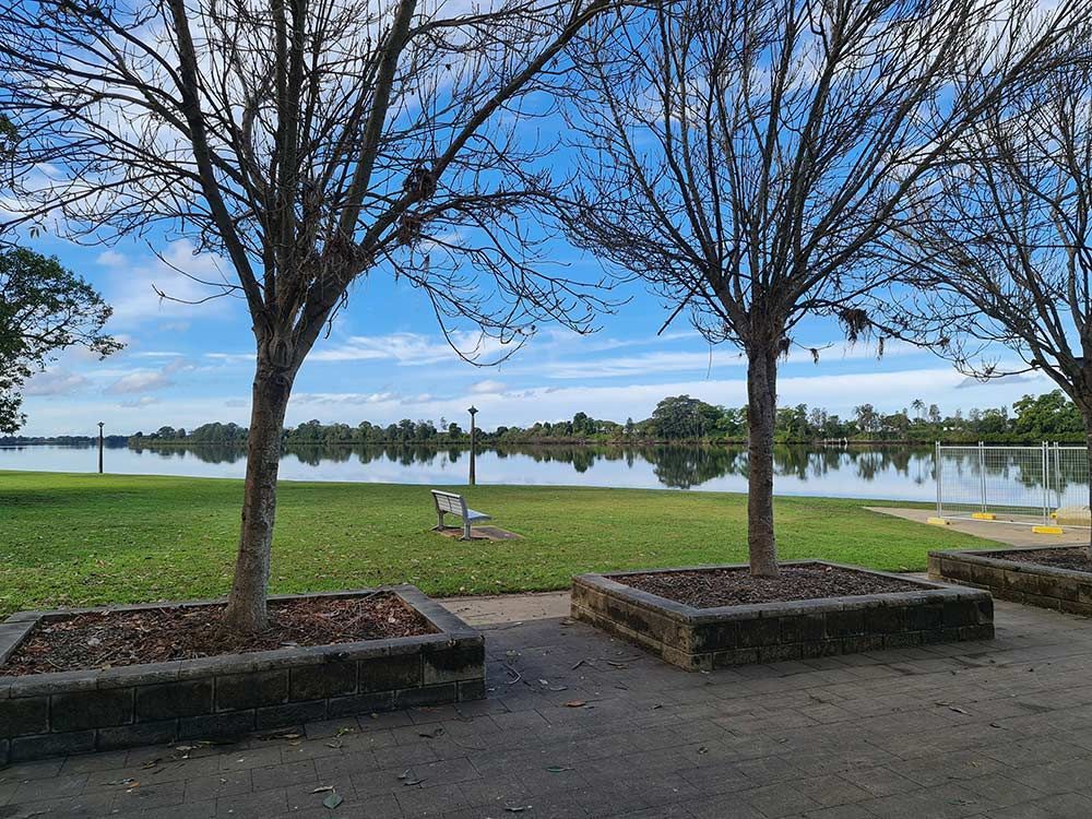 Taree With Lake — DPF Centre In Taree, NSW