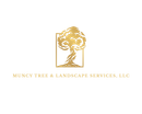 Gold tree inside a gold rectangle; "Muncy Tree & Landscape Services, LLC" below.