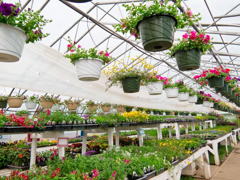 Greenhouse Supply — Hilo, HI — Garden Exchange Ltd