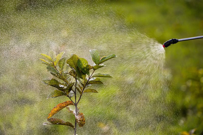 Plant Insecticides — Hilo, HI — Garden Exchange Ltd