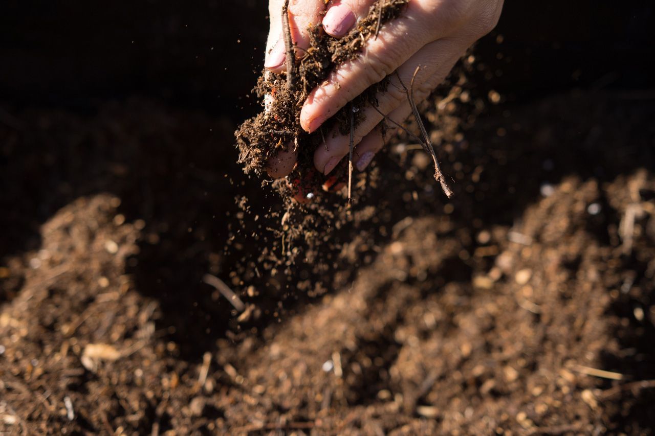 Organic Soil — Hilo, HI — Garden Exchange Ltd