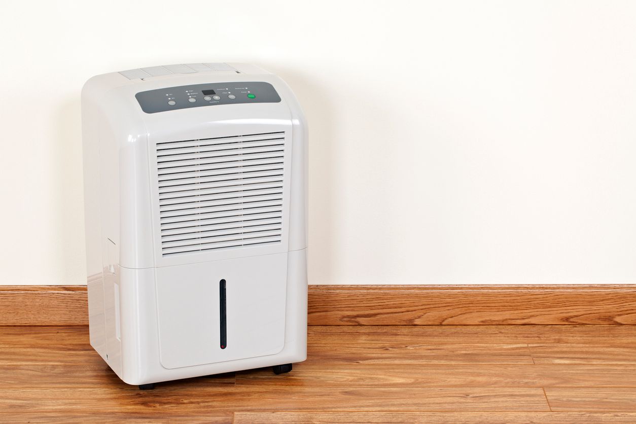 Whole House Dehumidifier for Myrtle Beach, SC home