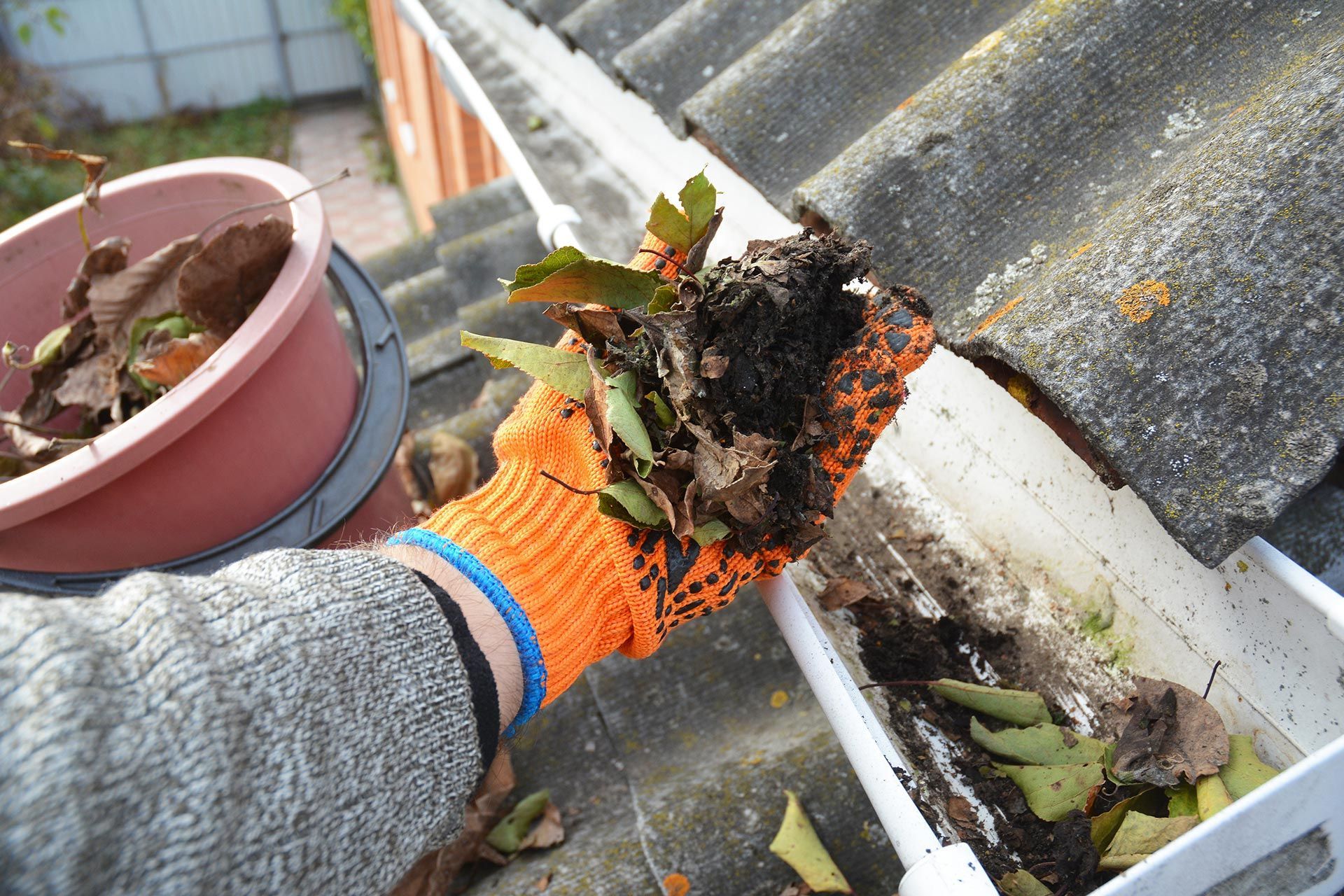 Gloved hand pulling weeds and debris from a gutter beside a roof and window Gloved hand pulling weeds and debris from a gutter beside a roof and window