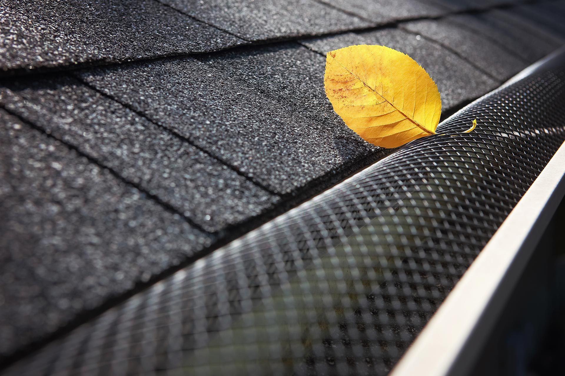 Yellow leaf on a dark textured roof gutter beside a shingled rooftop Yellow leaf on a dark textured roof gutter beside a shingled rooftop