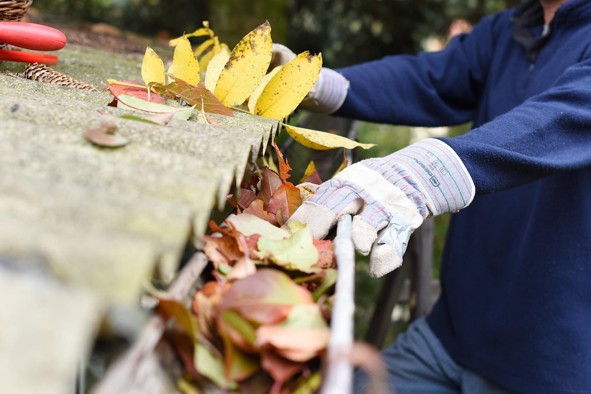 Gloved worker clearing wet leaves from a gutter beside a concrete edge outdoors