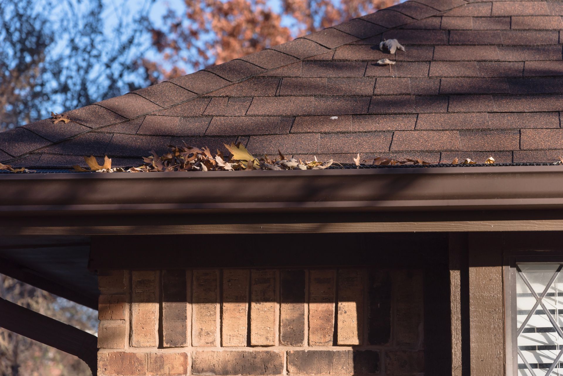 Brown shingled roof with leaf debris, framed by tree branches and the top of a house Brown shingled roof with leaf debris, framed by tree branches and the top of a house