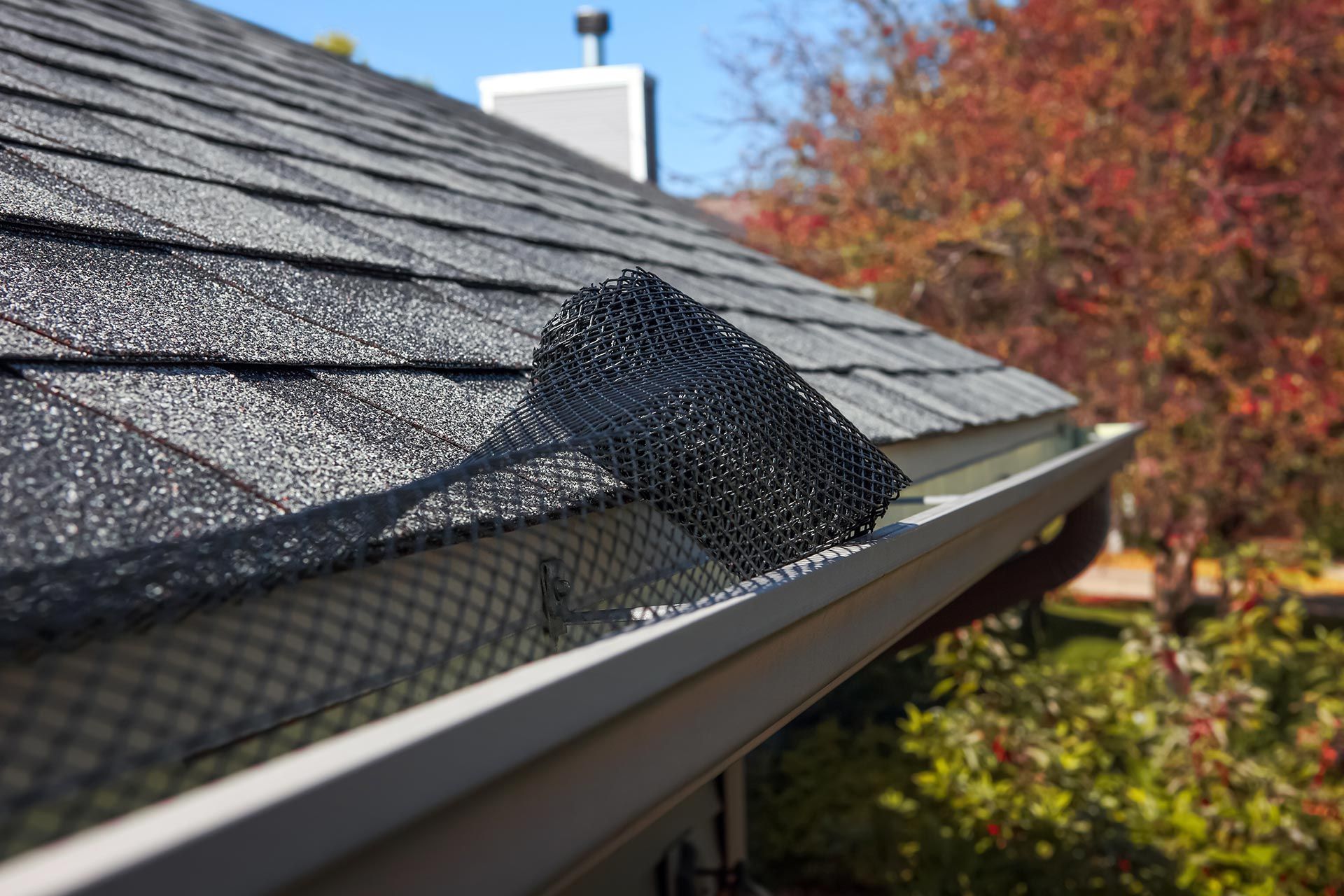Roof gutter guard on a house roof with debris, under a blue sky and autumn trees Roof gutter guard on a house roof with debris, under a blue sky and autumn trees