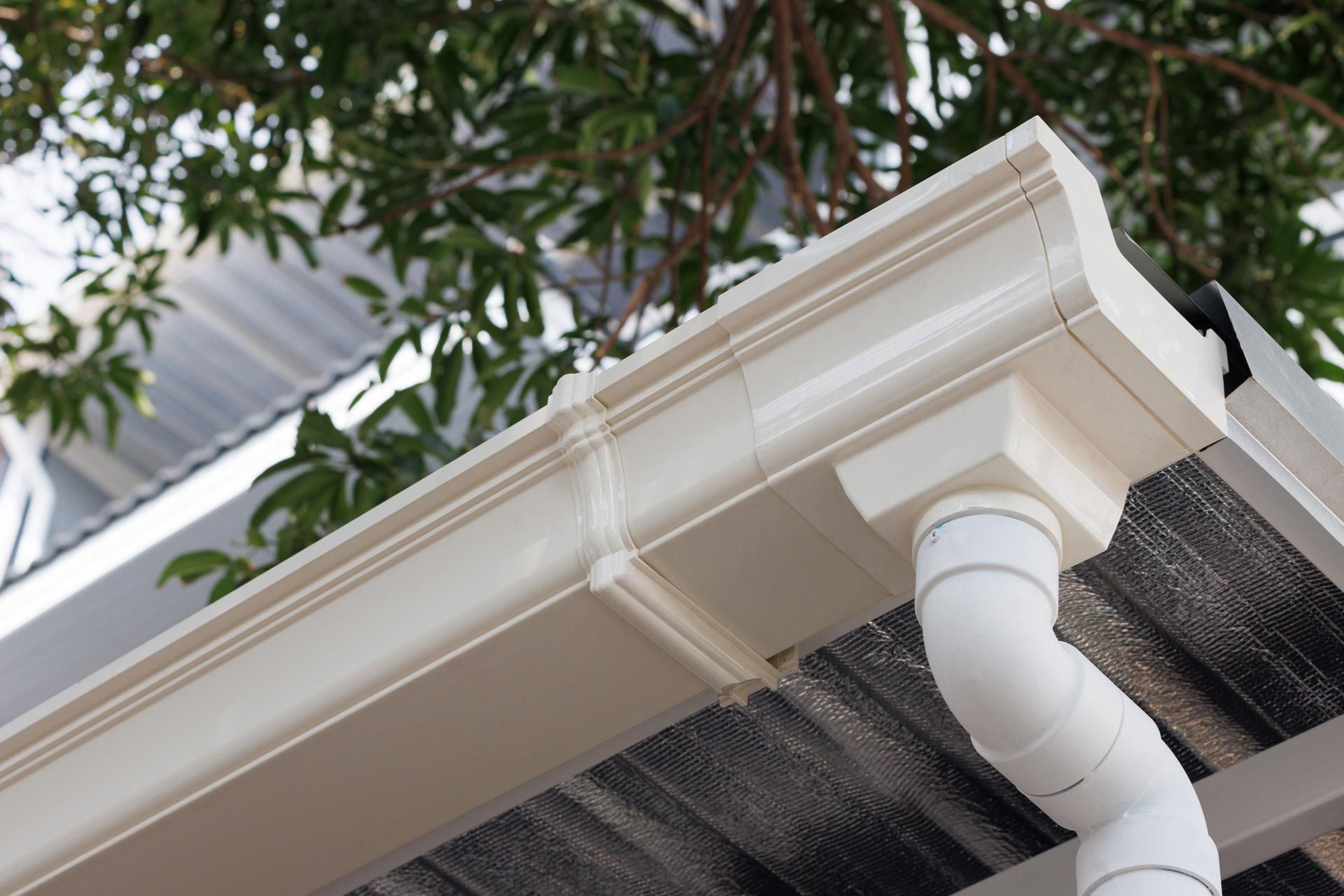 White house gutter and downspout beneath a roof edge with tree branches overhead White house gutter and downspout beneath a roof edge with tree branches overhead