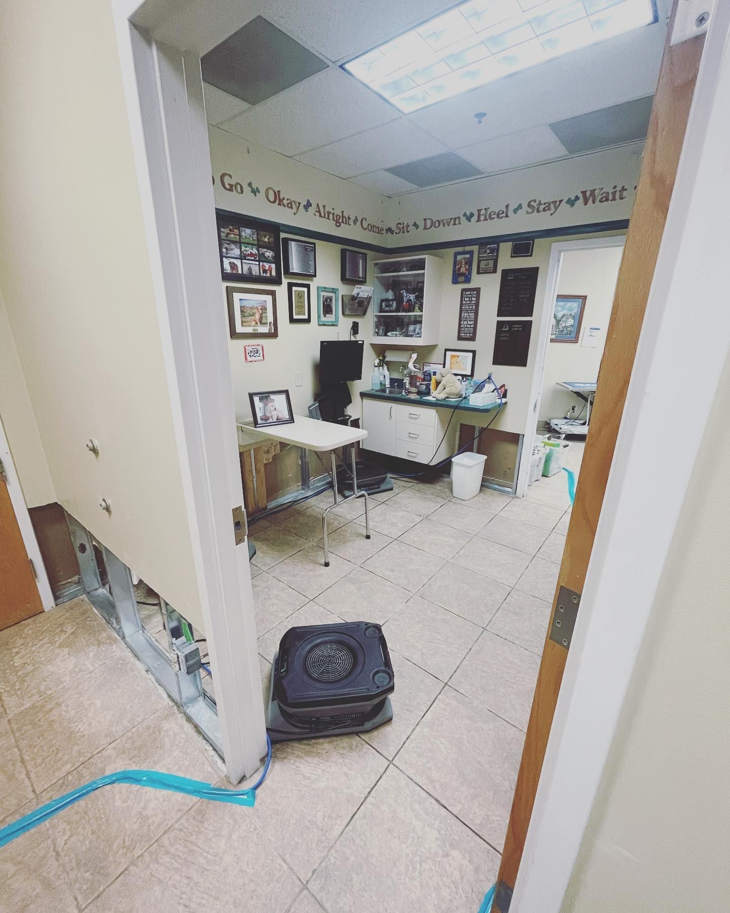 View through an open doorway of a room with a table, computer, and decorations. A blue hose runs along the floor.