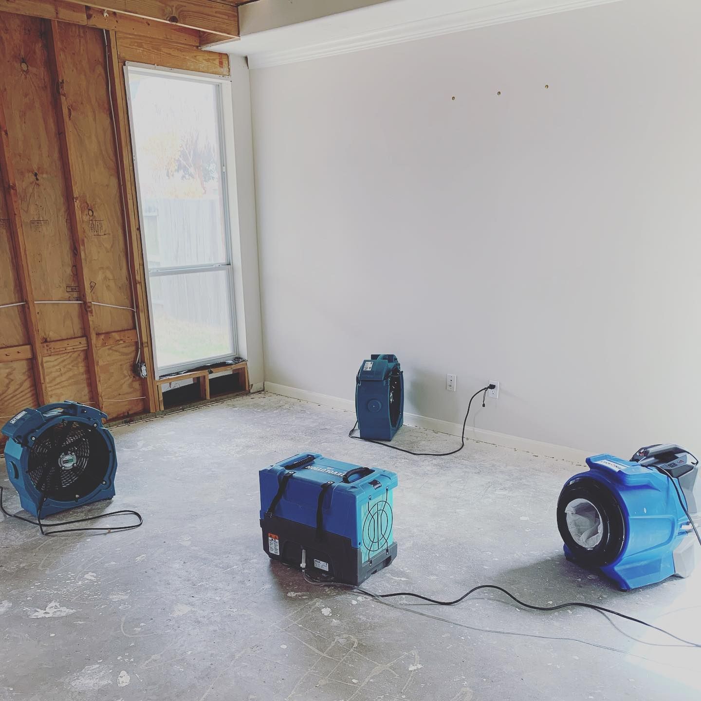Room being dried, with multiple blue air movers and exposed wall framing.