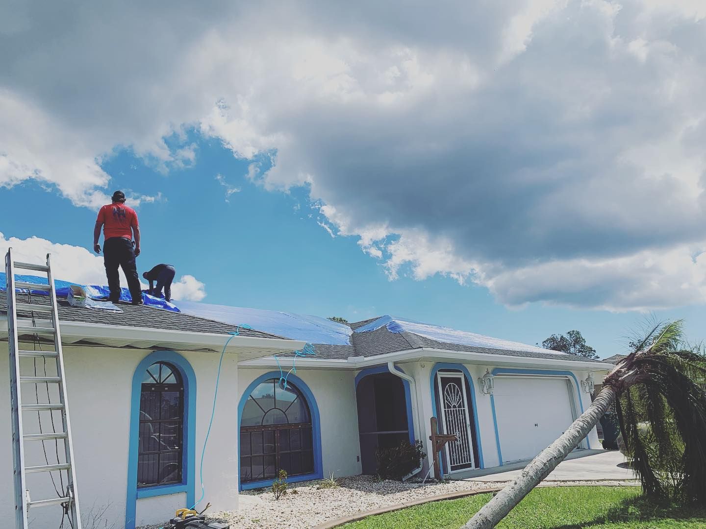 Two people on a roof covering it with a tarp. White house with blue trim and a fallen palm tree.