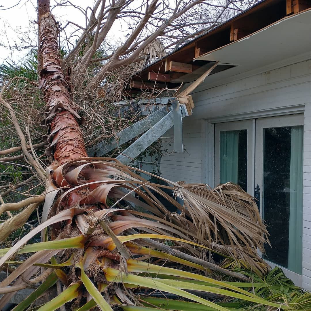 Palm tree fallen against a white house, damaging the roof and near a glass door.