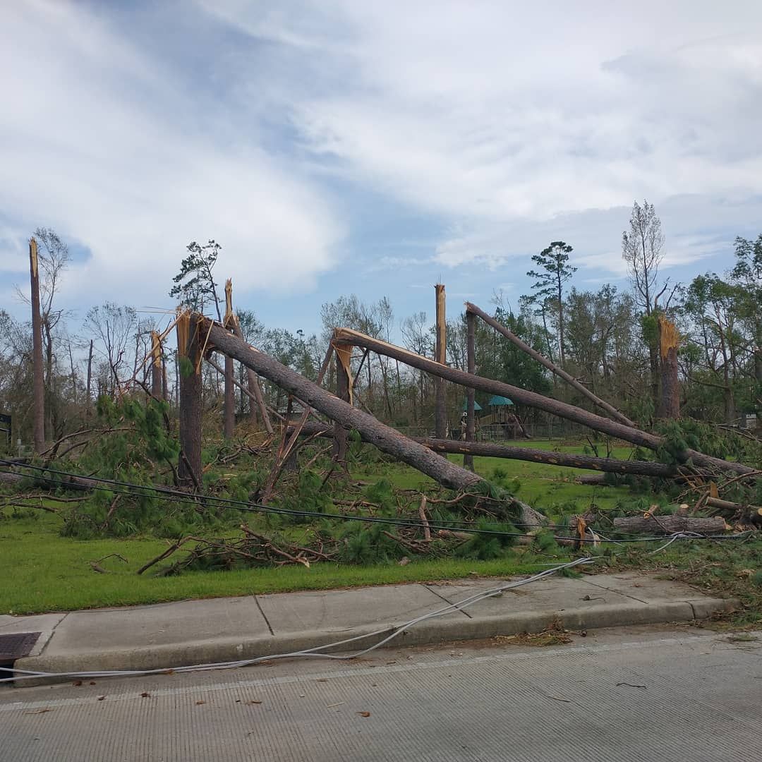 Fallen trees and debris on a grassy area, likely caused by a storm. Sky is overcast.