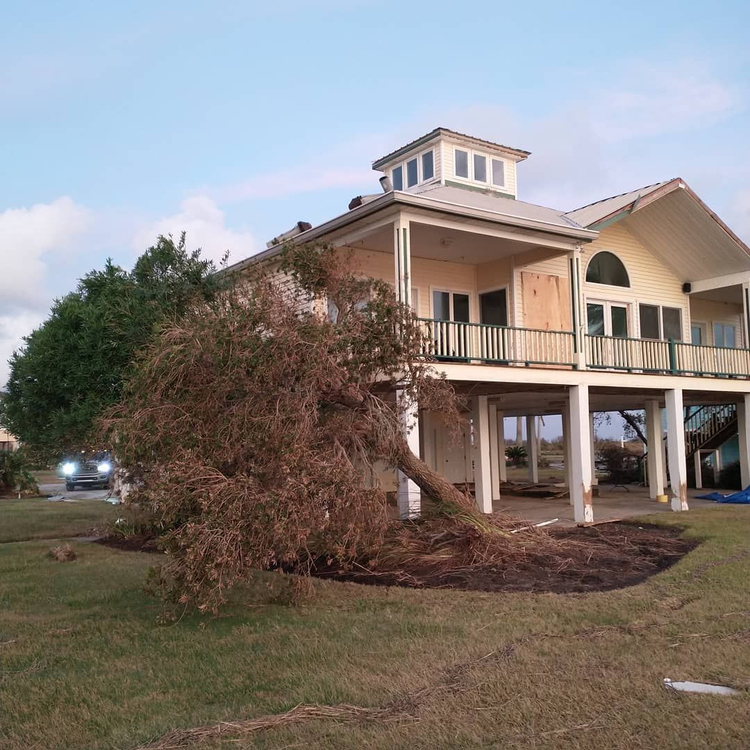 Fallen tree leans on a raised house with a white car in the distance, after a storm.